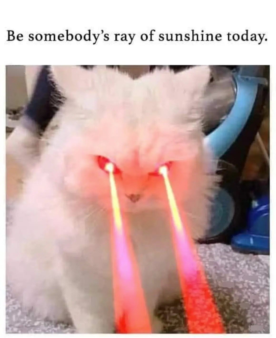 Let’s Make Today a Day of Kindness!