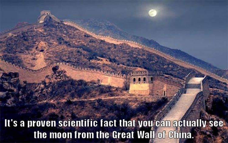 Truth Bombs: Facts That Hit Hard!