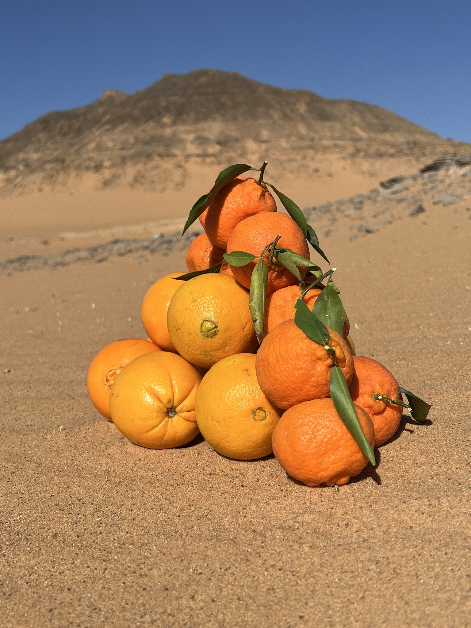 Desert Karma: Embracing the Vibrant Orange of Tabuk's Season in Saudi Arabia