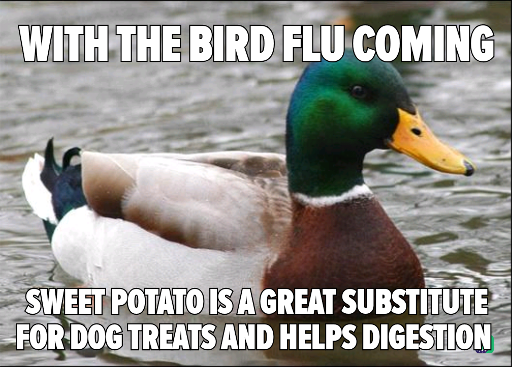 According to my vet, raw bird-based treats are a definite no-go!