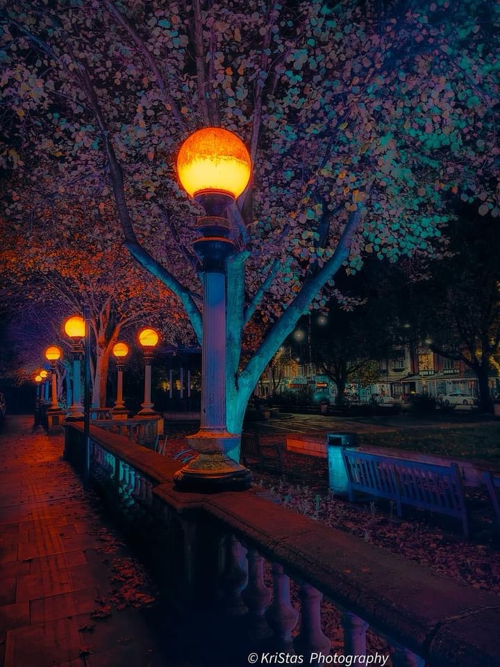 Enchanting Night Lights that Illuminate the Darkness