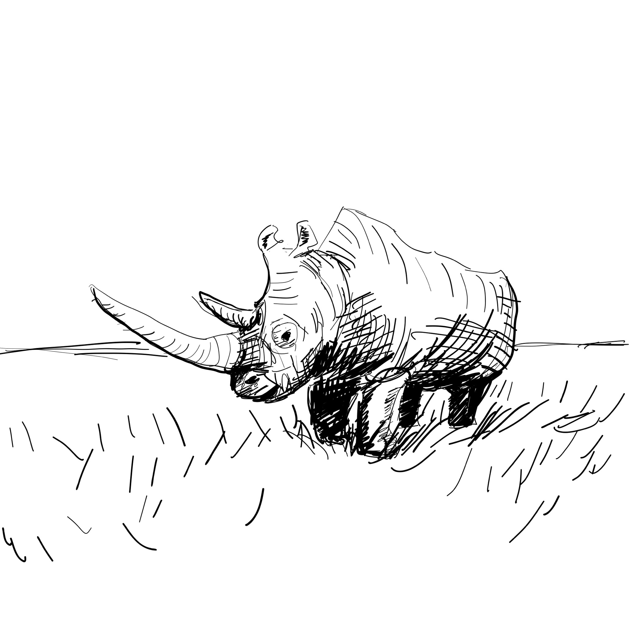 Majestic Rhinoceros in its Element