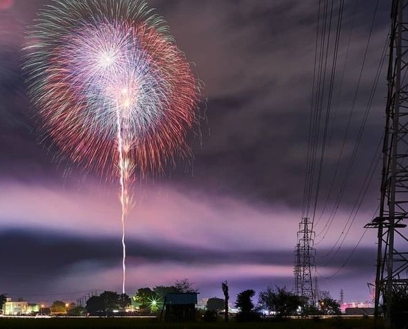 Explosive Fun: Fireworks Light Up the Night Sky