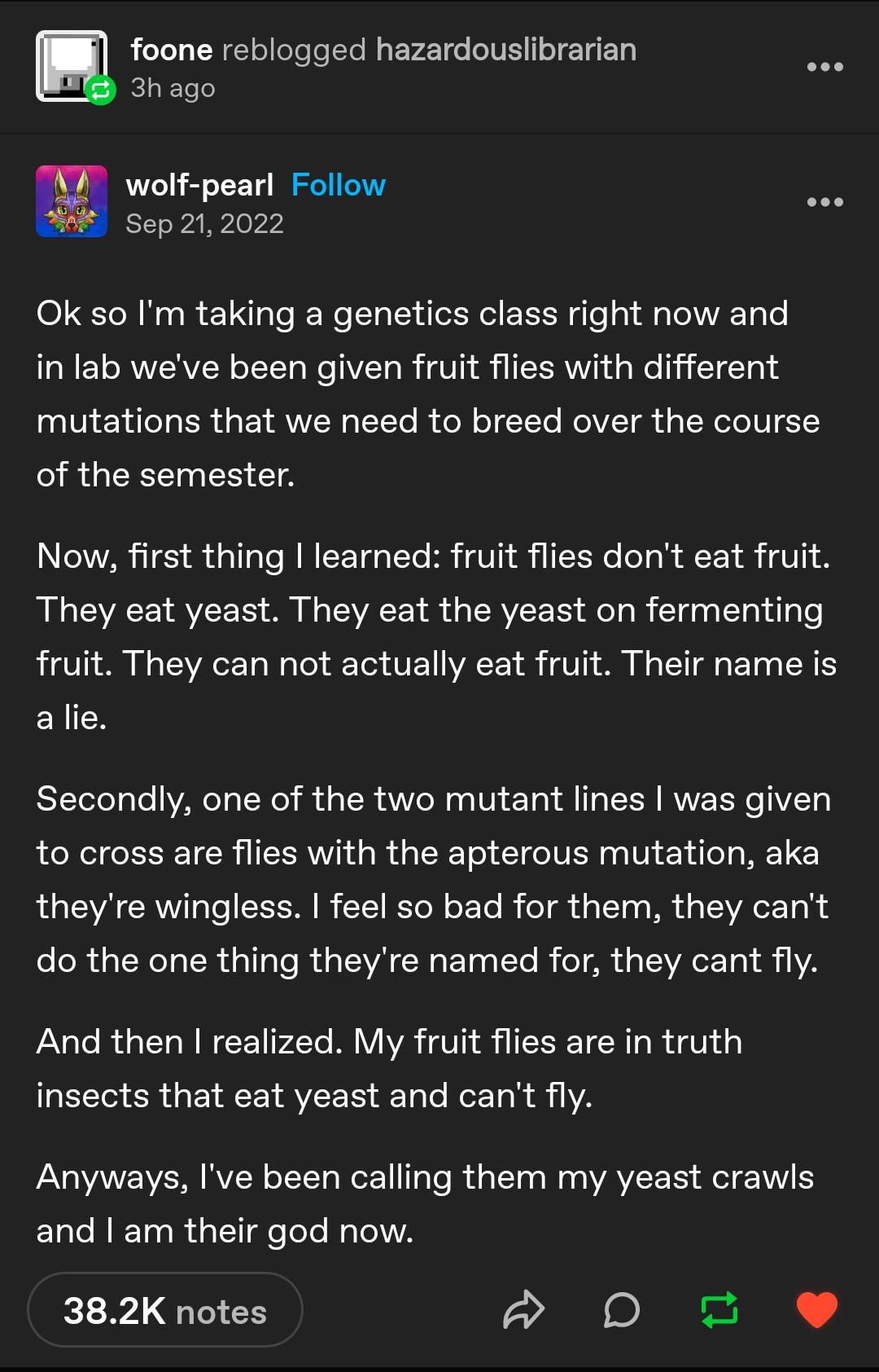 The Curious Case of Fruit Flies