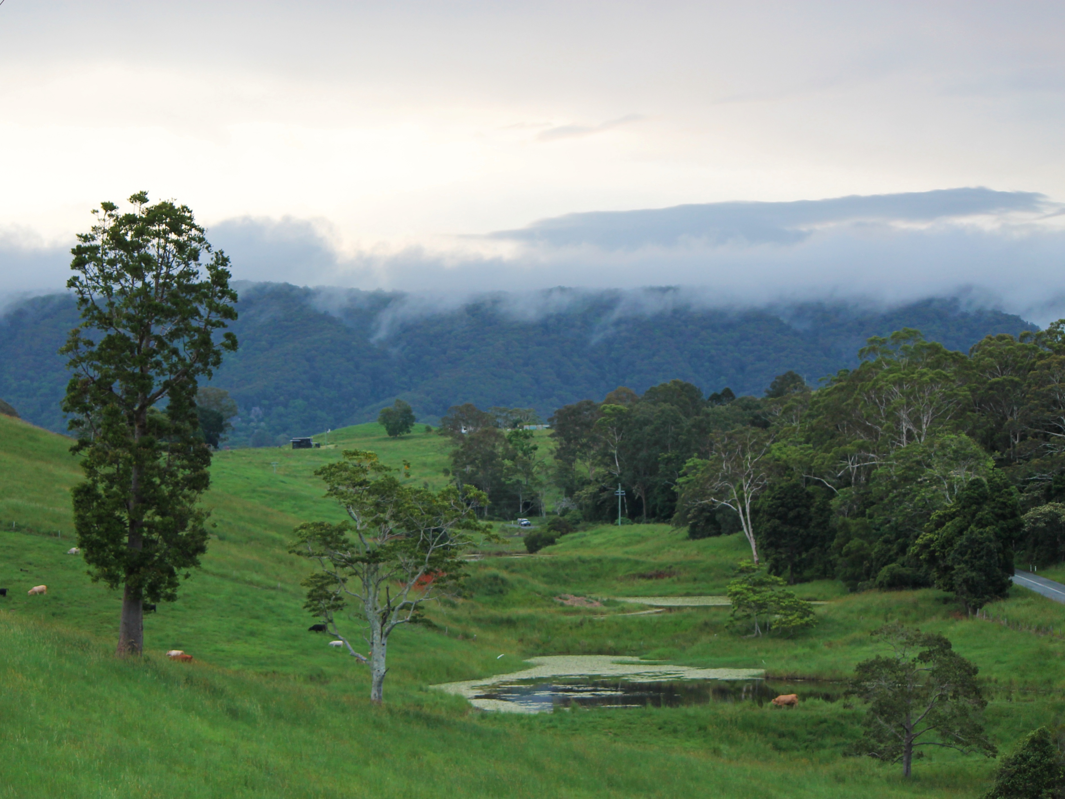 Exploring the stunning Upper Wahpunga Valley in Australia.