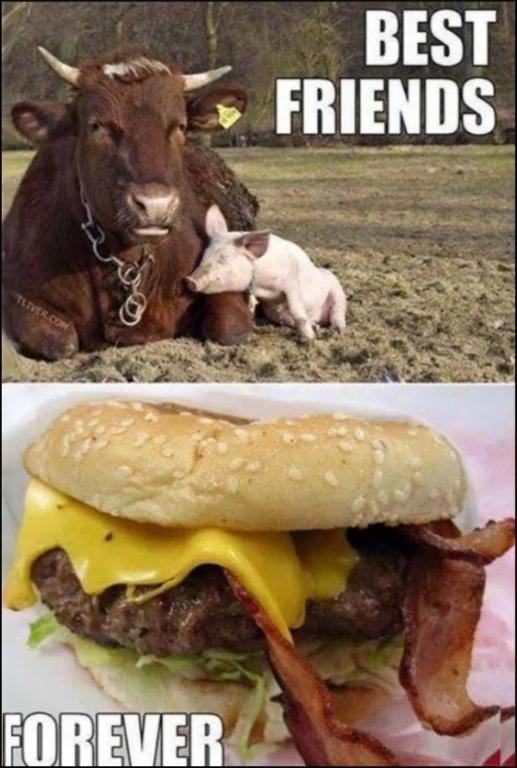 The Essence of True Love Captured
