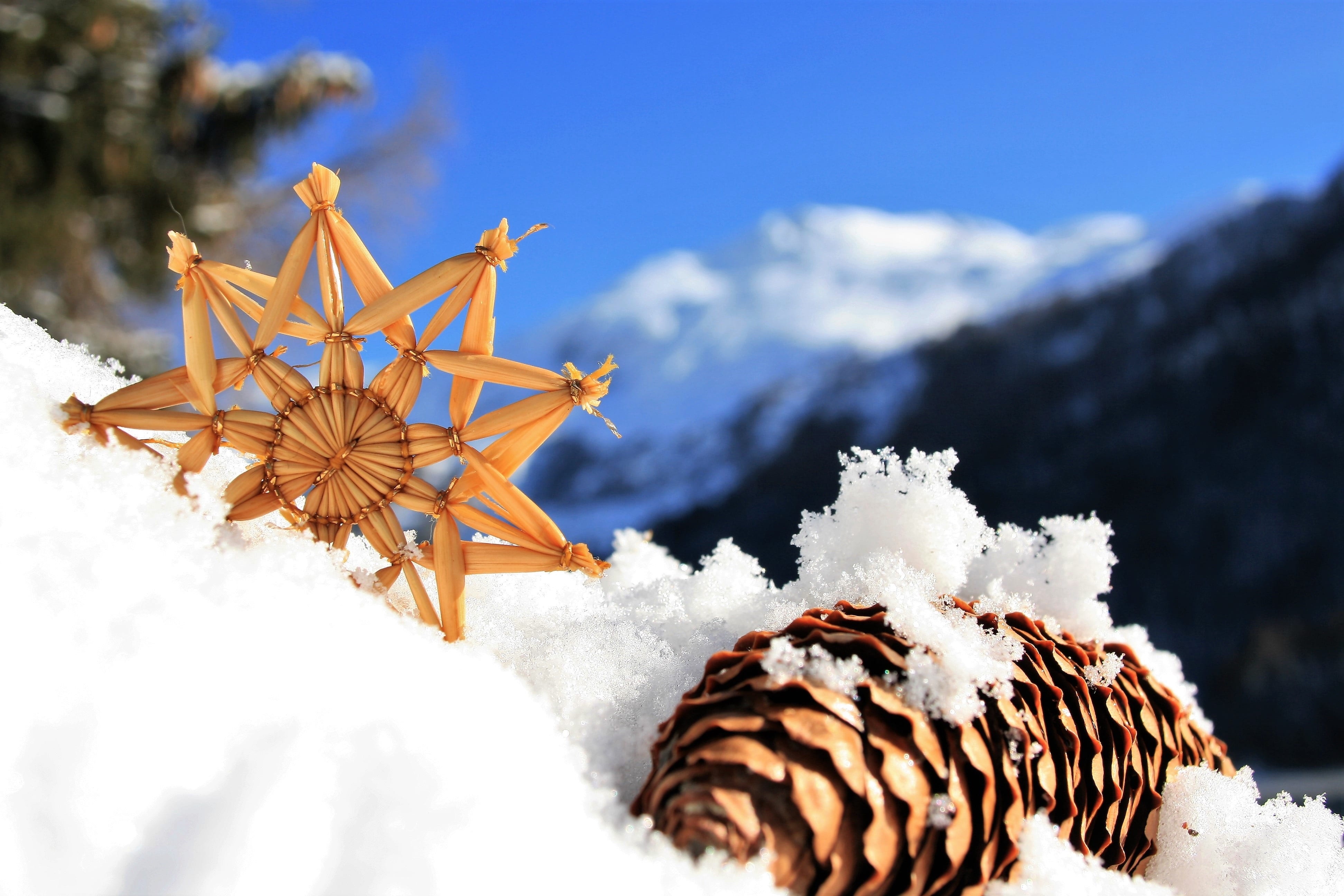 My Cake Day is Overflowing with Snowball Fun!