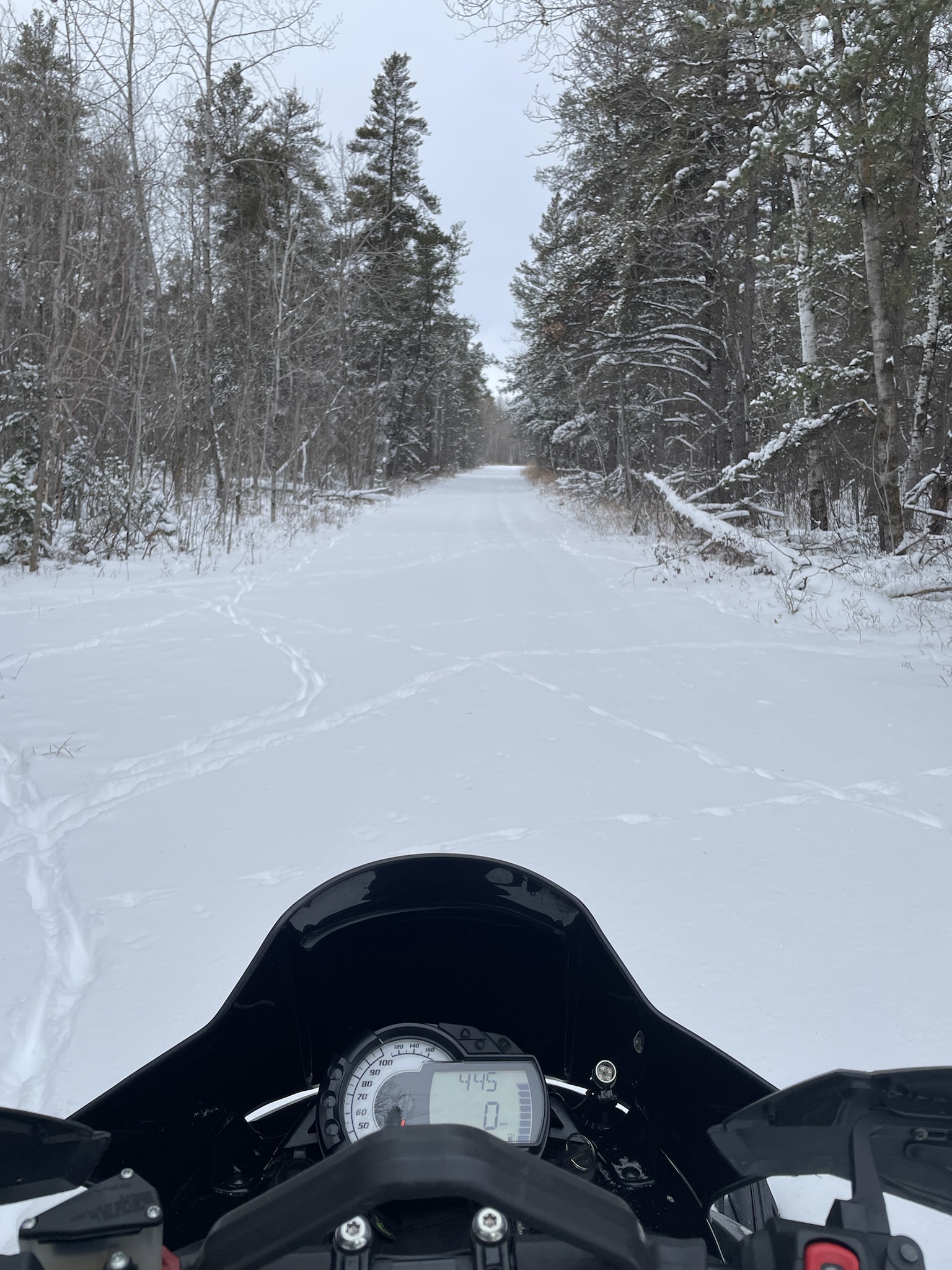 Taking a Joyful Little Ride!