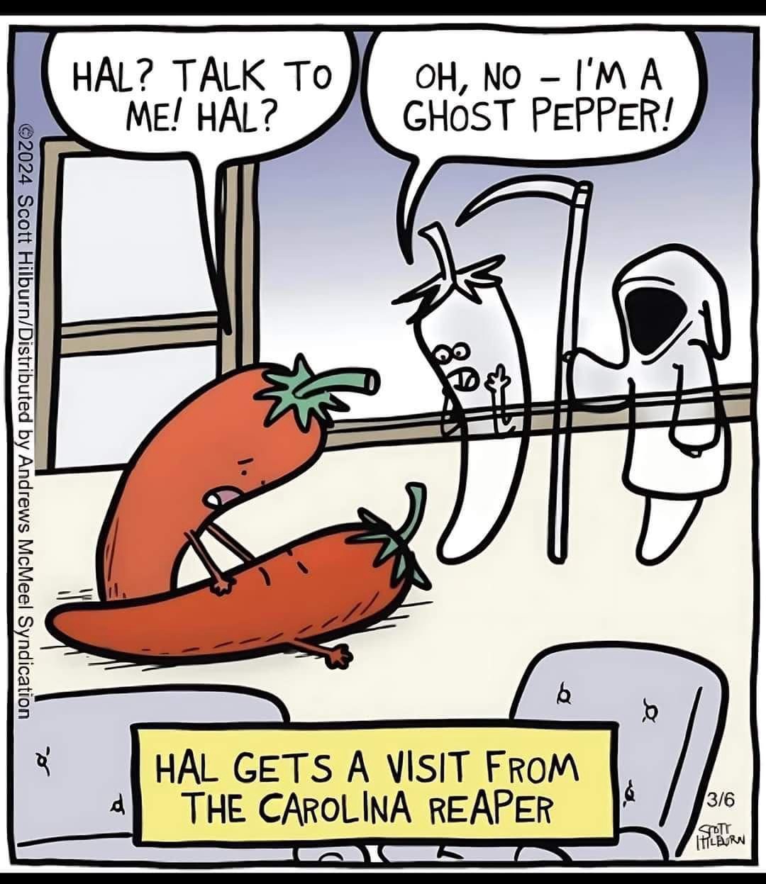 The Spicy World of Peppers
