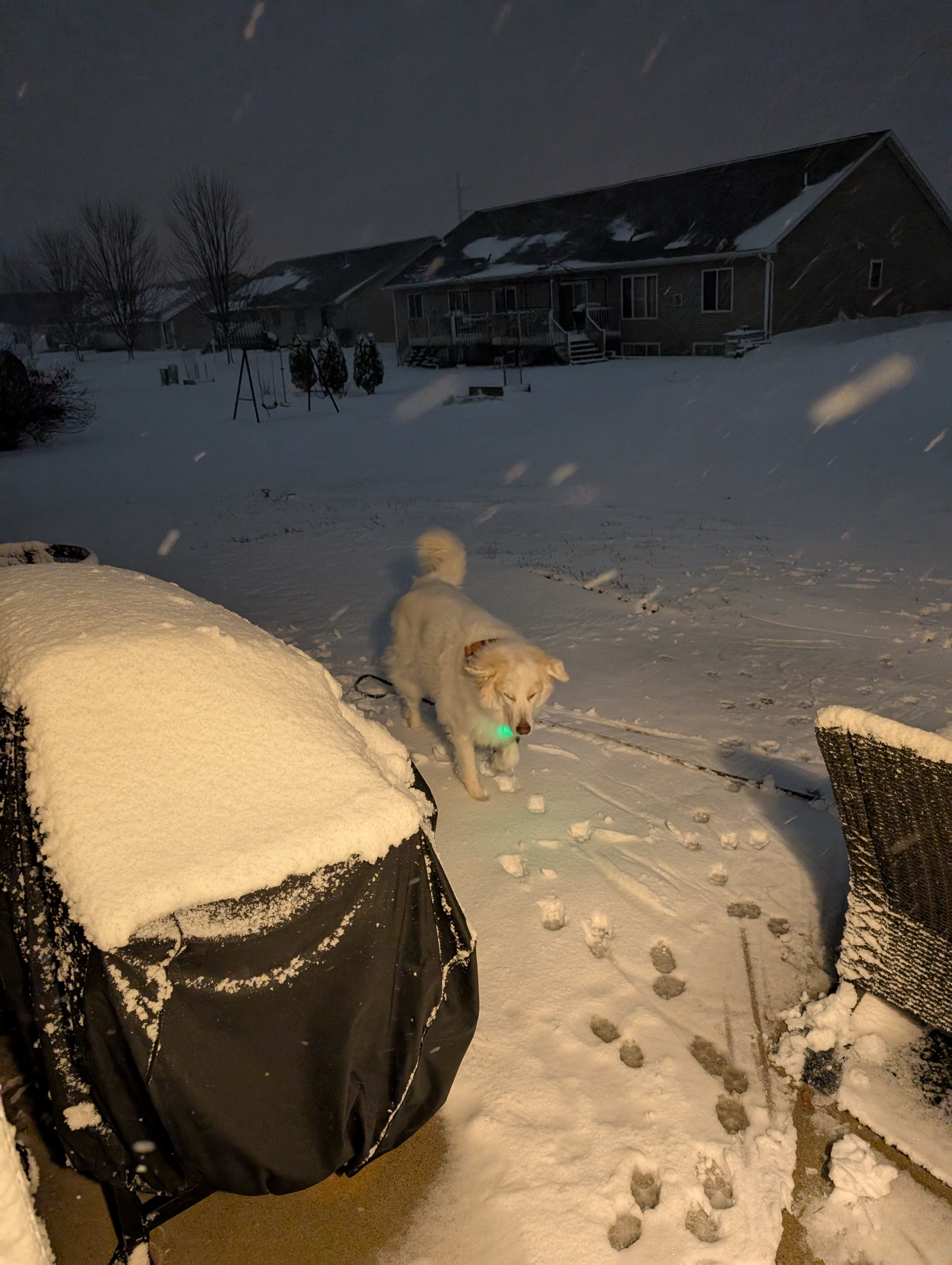 Your Daily Dose of Winter: Day 788 of the Chill