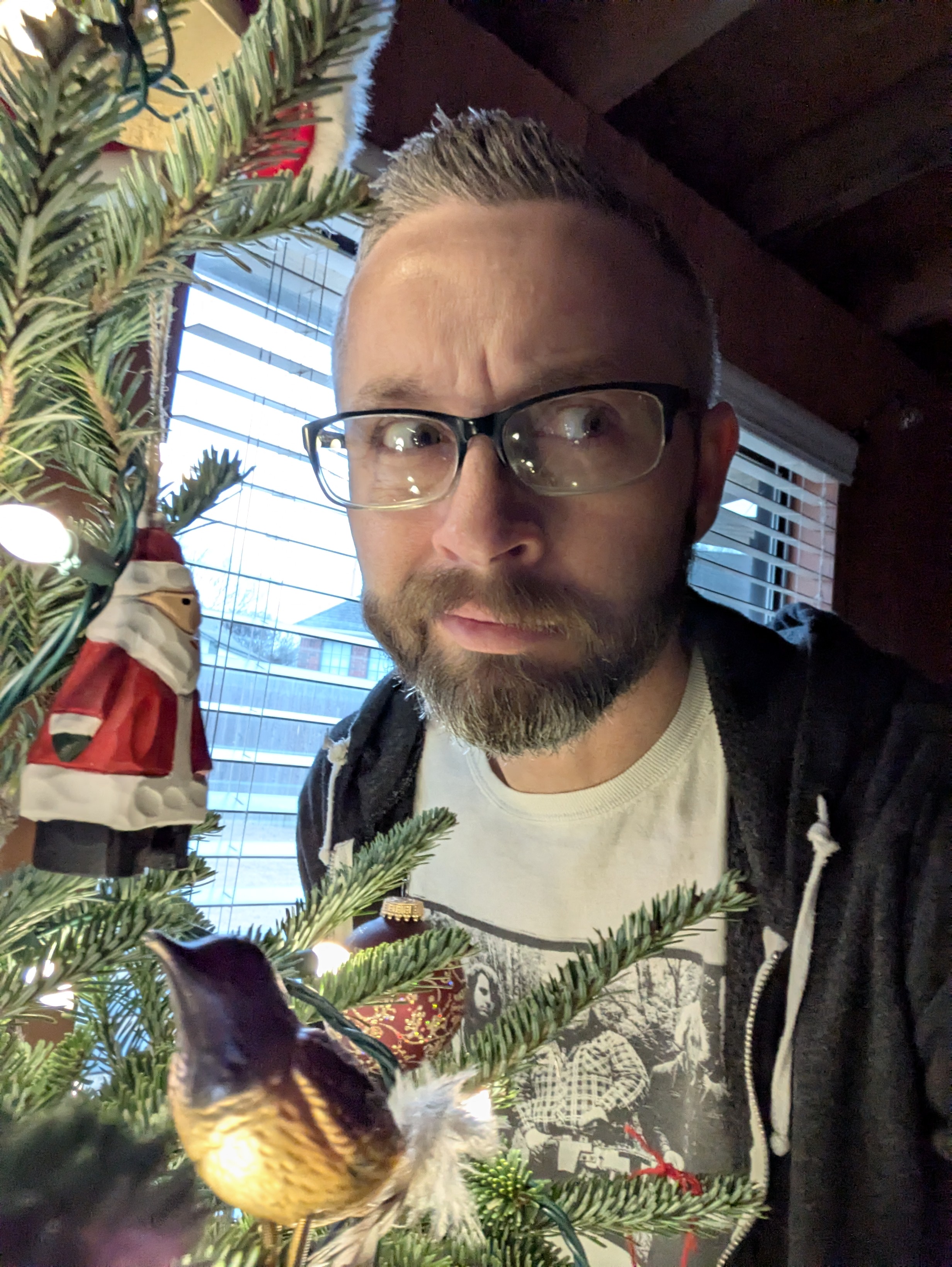 All About That Yule Log Magic This Season!
