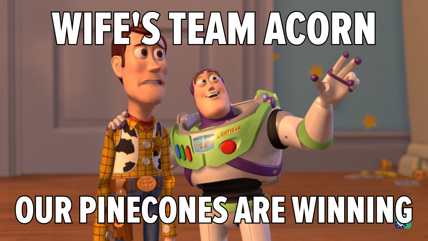 Pinecone Power: Our Team is Unstoppable!
