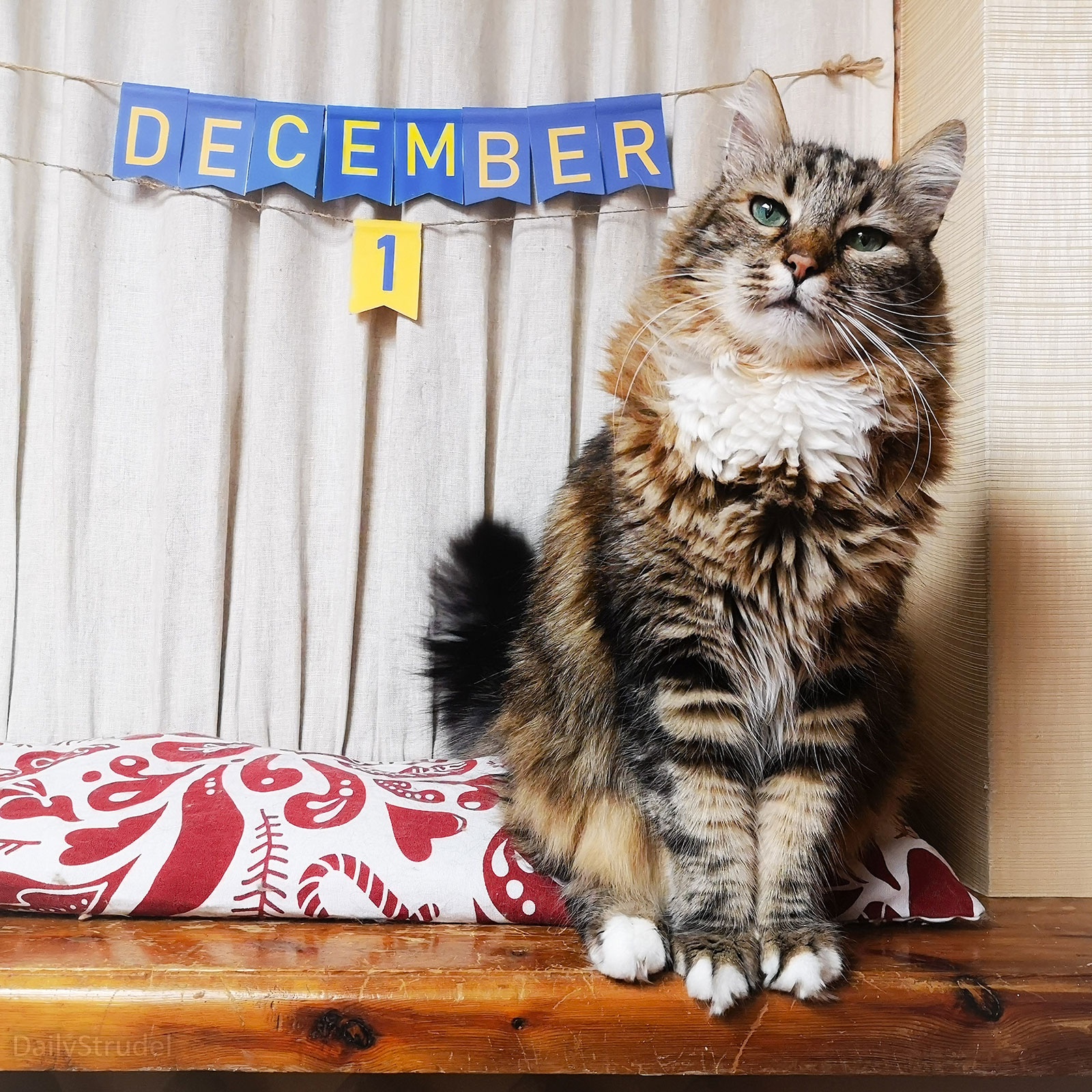 Mark Your Calendars: December 1 is Here!