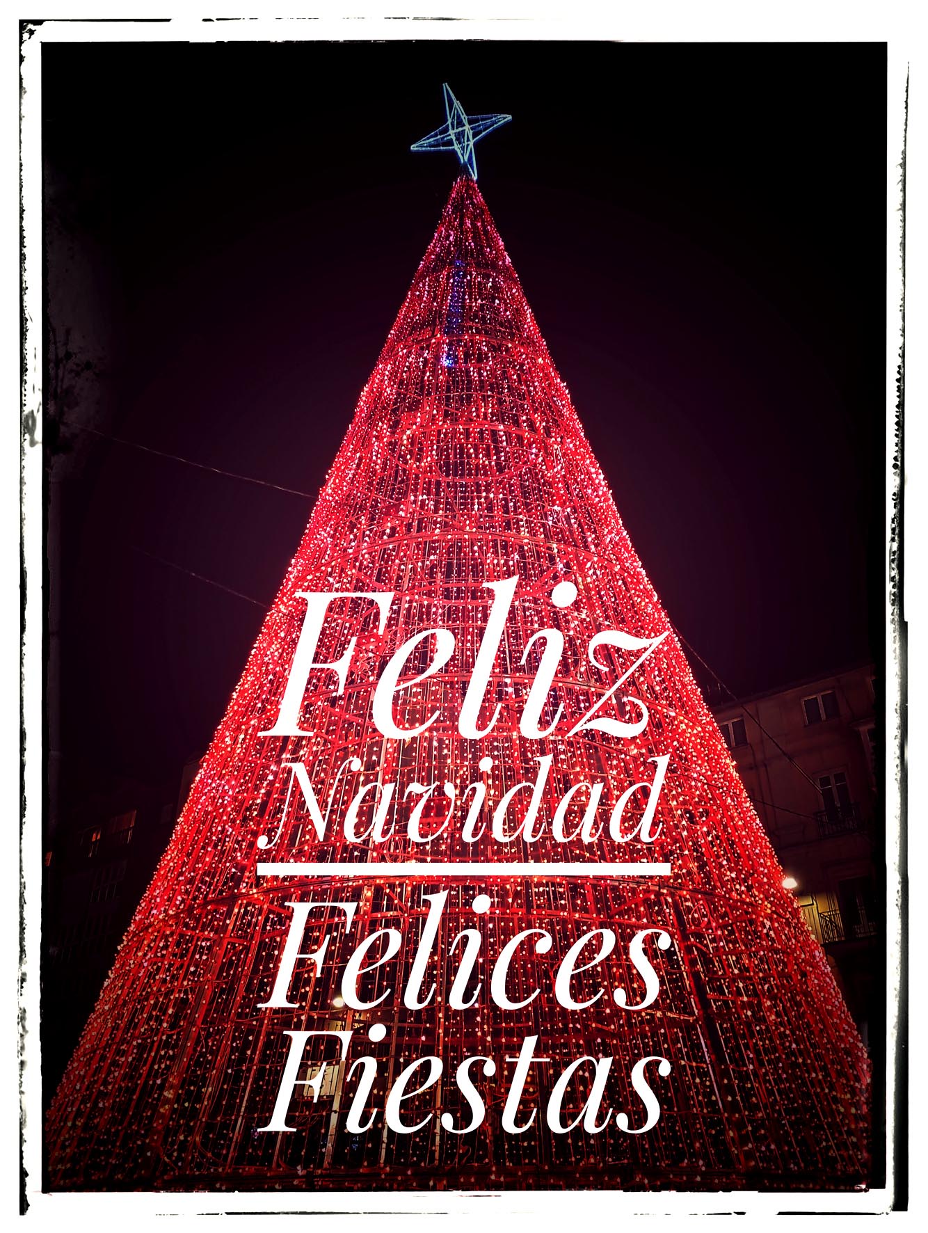Feliz Navidad: Wishing You a Merry Christmas!