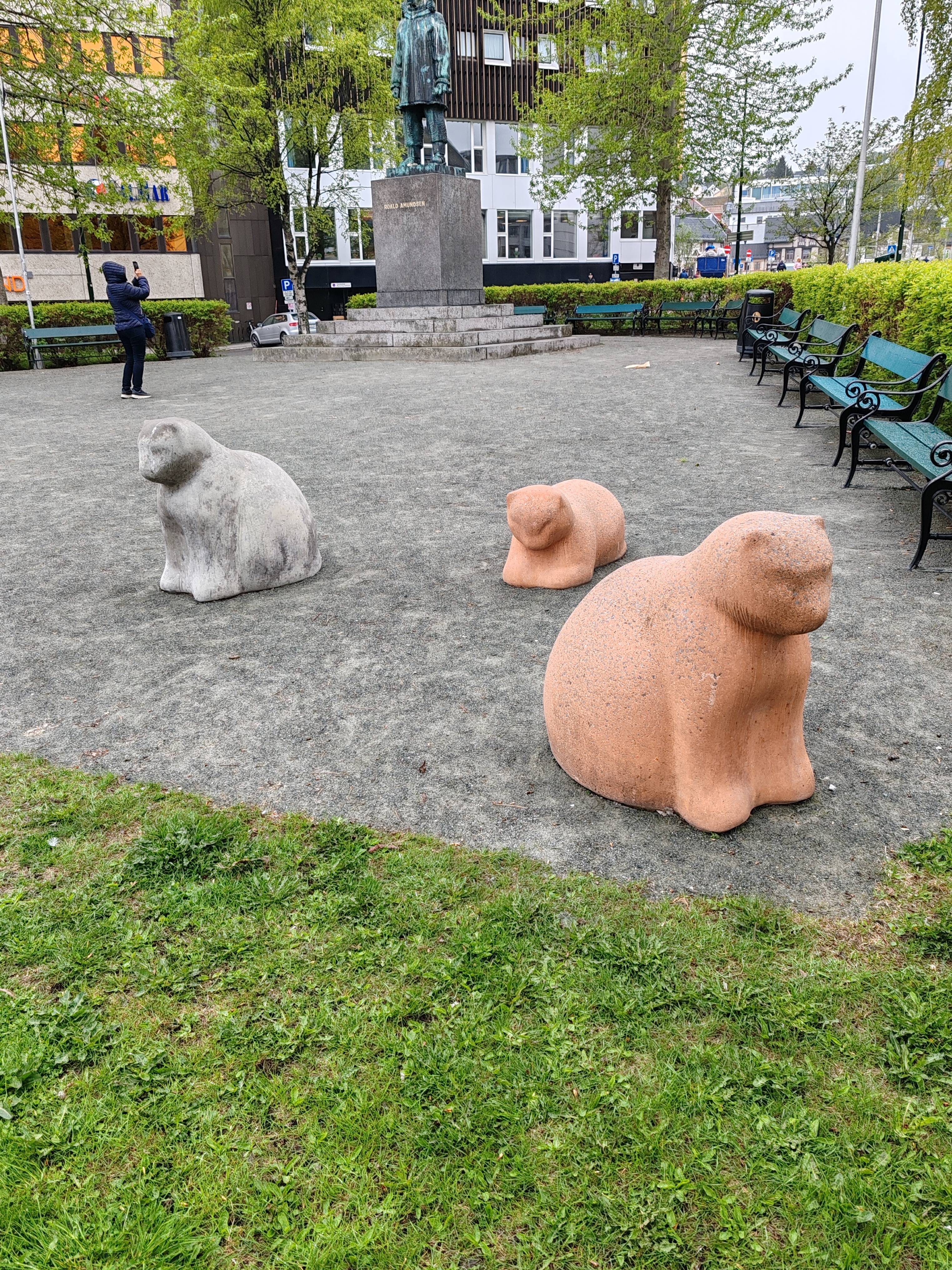 Charming Cats of Tromsø, Norway