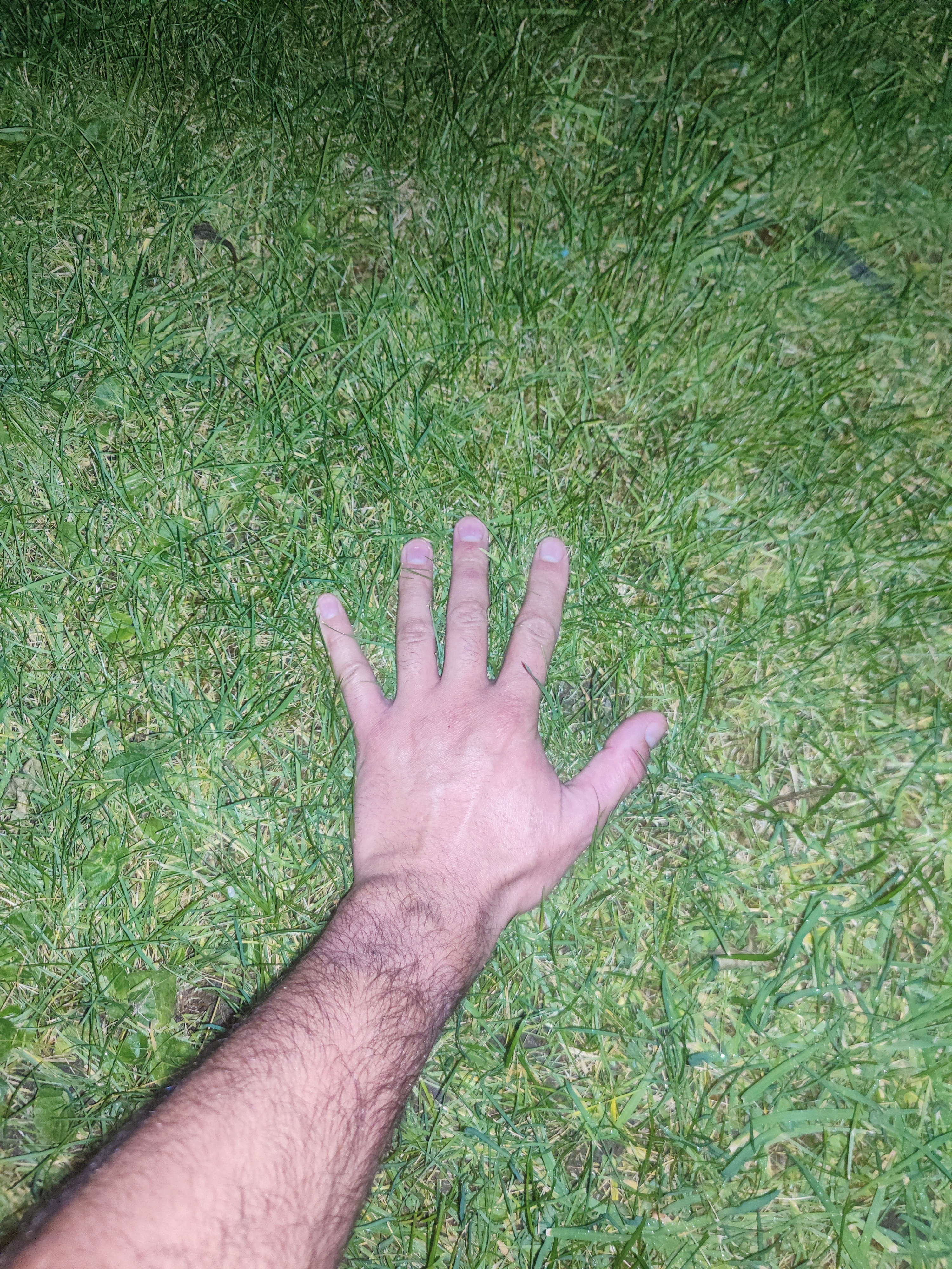 Choosing to Touch Grass Instead of Playing PTCGL