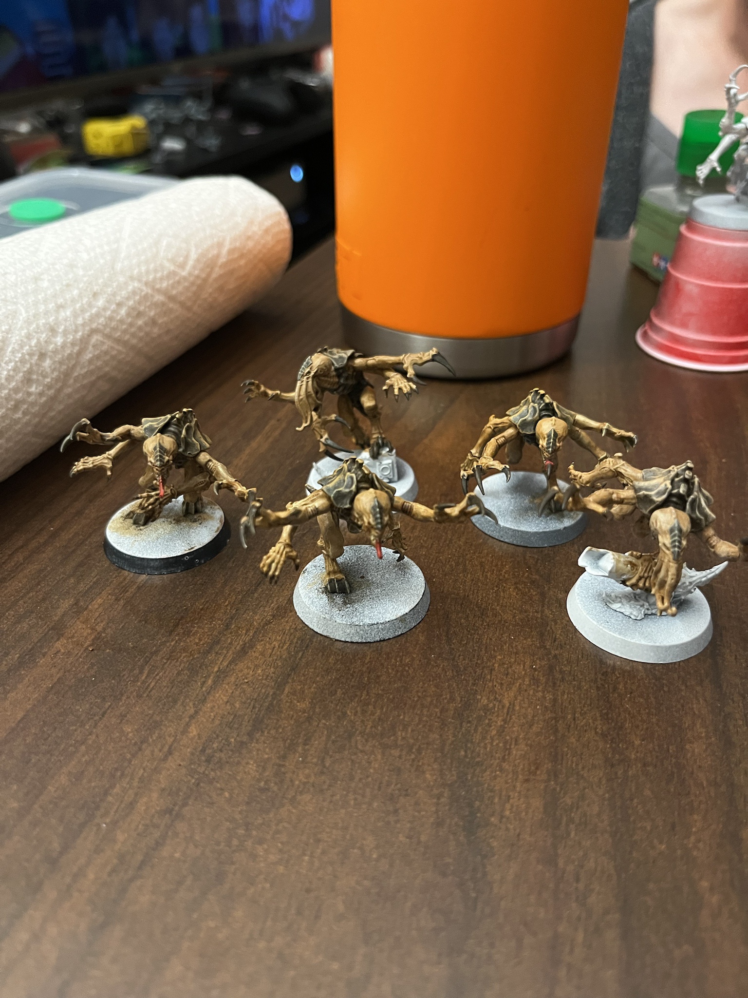 Meet the Majestic Sandy Purestrains!