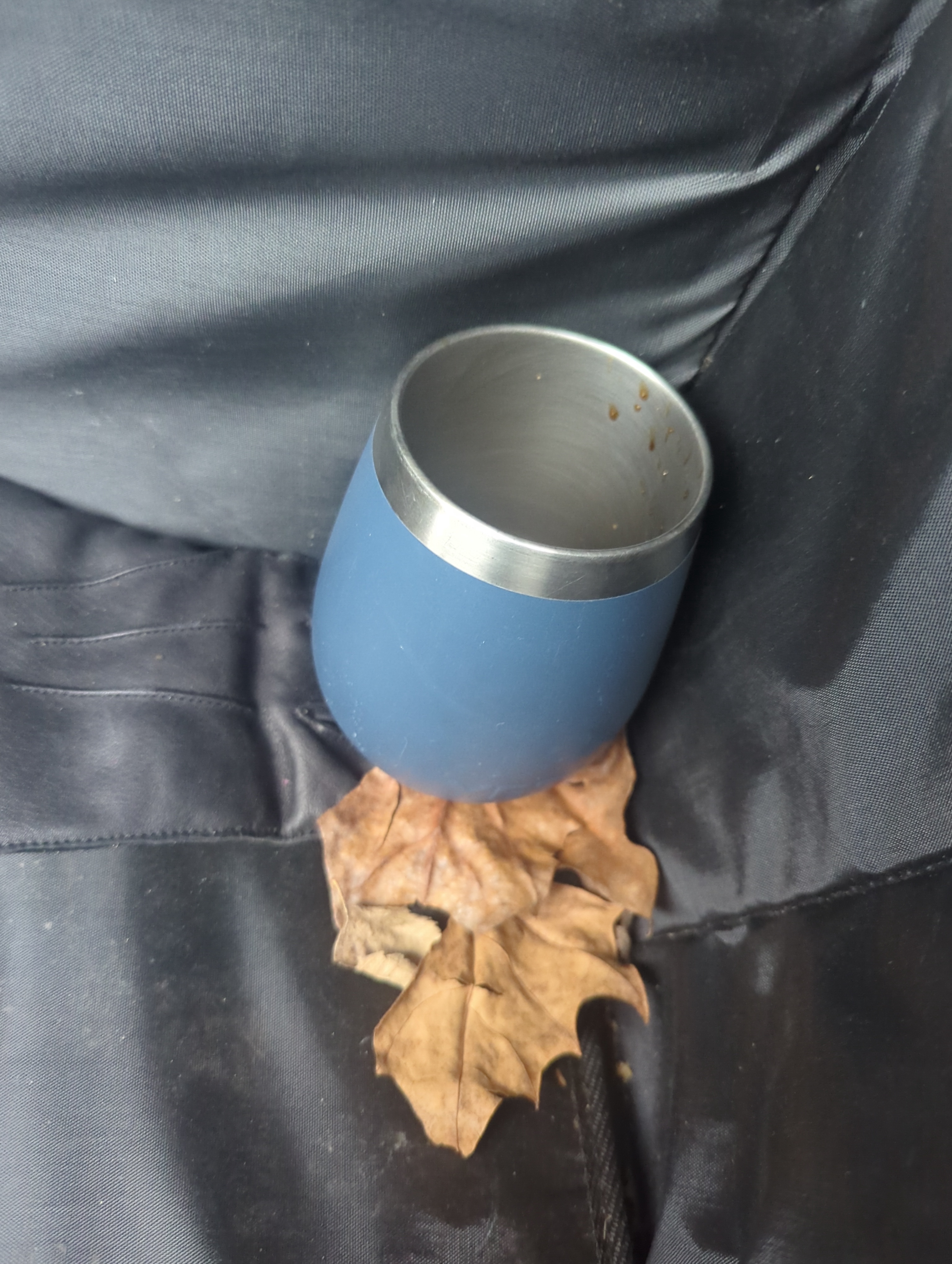 A Cup Resting on a Bed of Dried Leaves