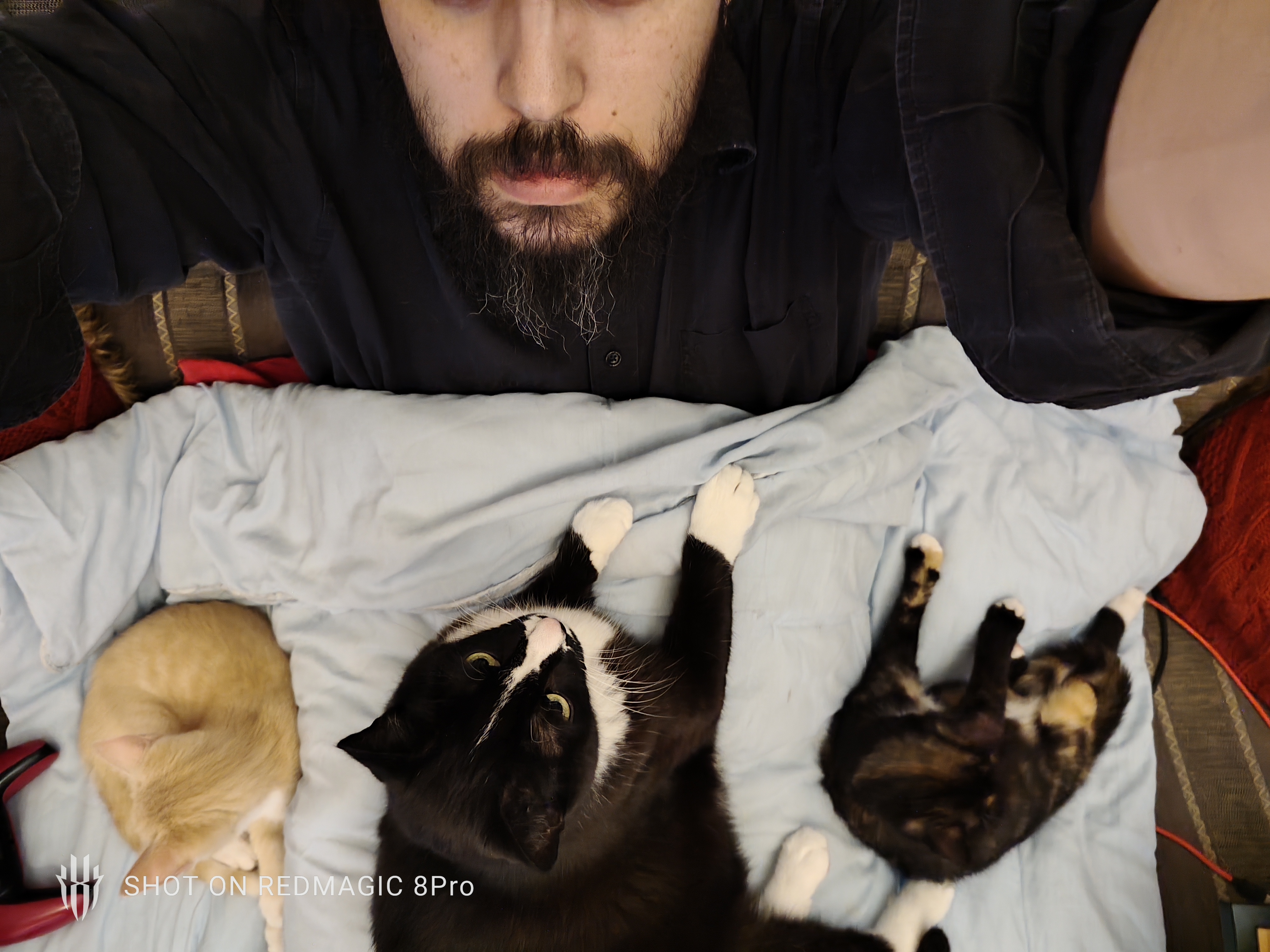 Is this a selfie or just a clever angle?