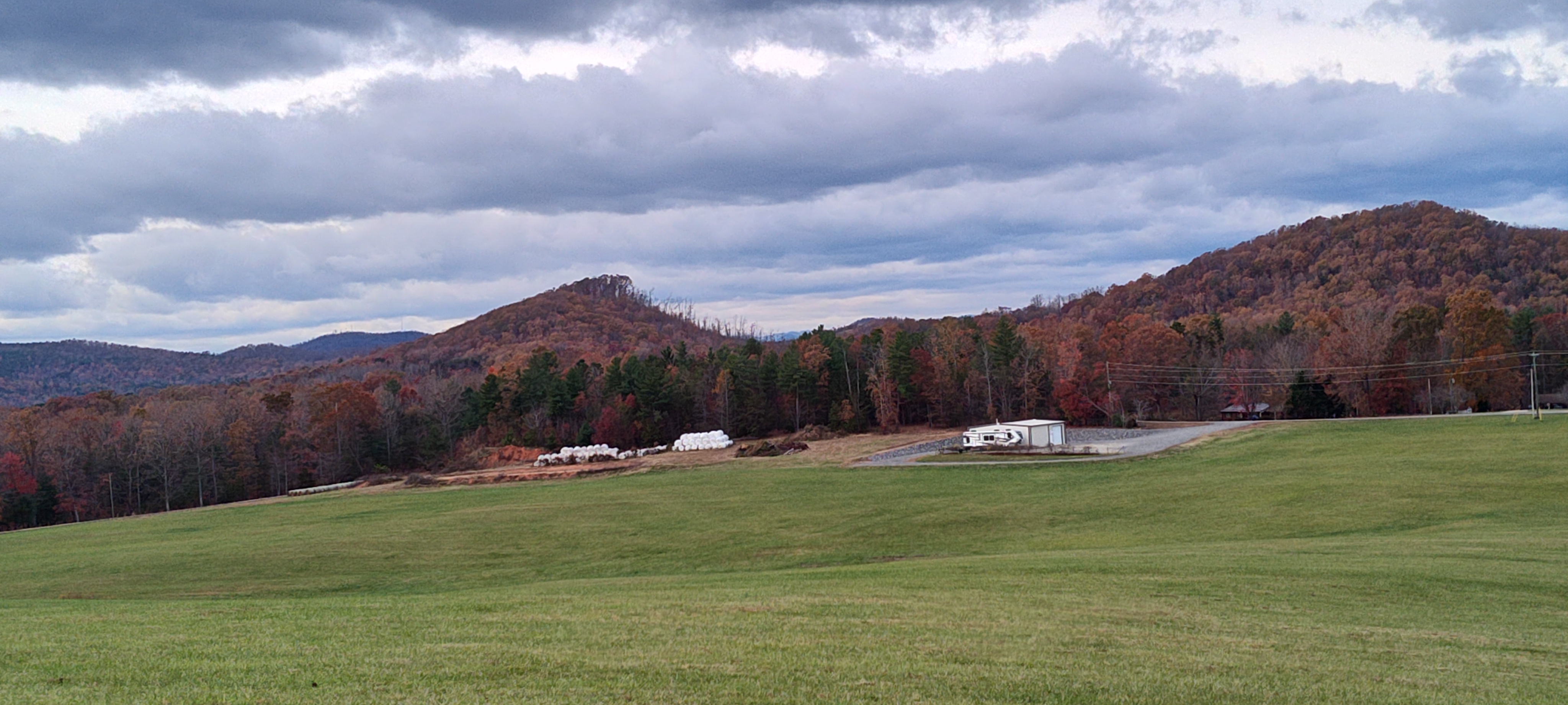 This Hilltop Resembles a Wave of Trees Ready to Crash
