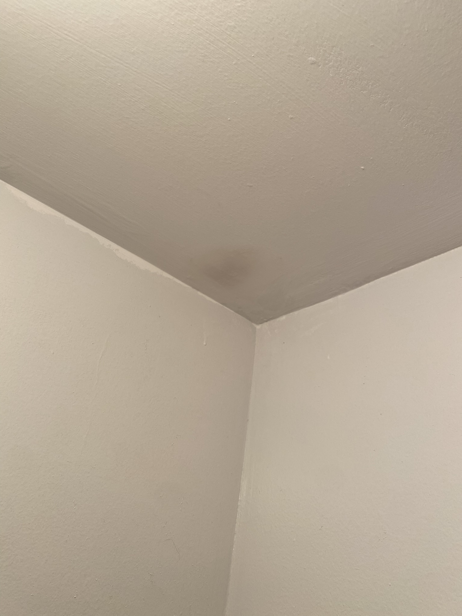A Hidden Spot in the Closet