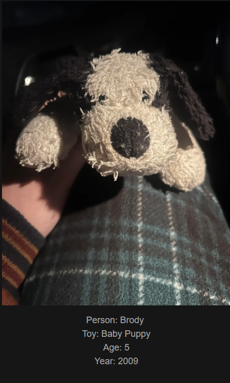 Day 864: Join Me on My Journey at www.saidtheskinhorse.com - Celebrating Our Cherished Childhood Toys with Baby Puppy, the Latest Addition!