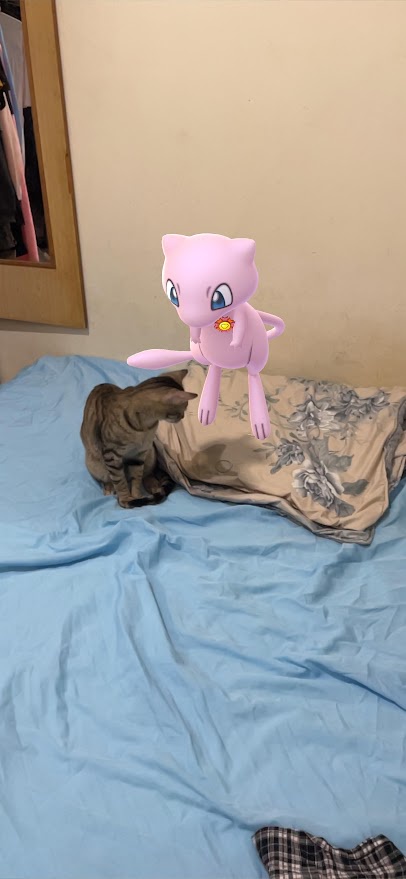 The Perfect Fusion of Cats and Pokémon