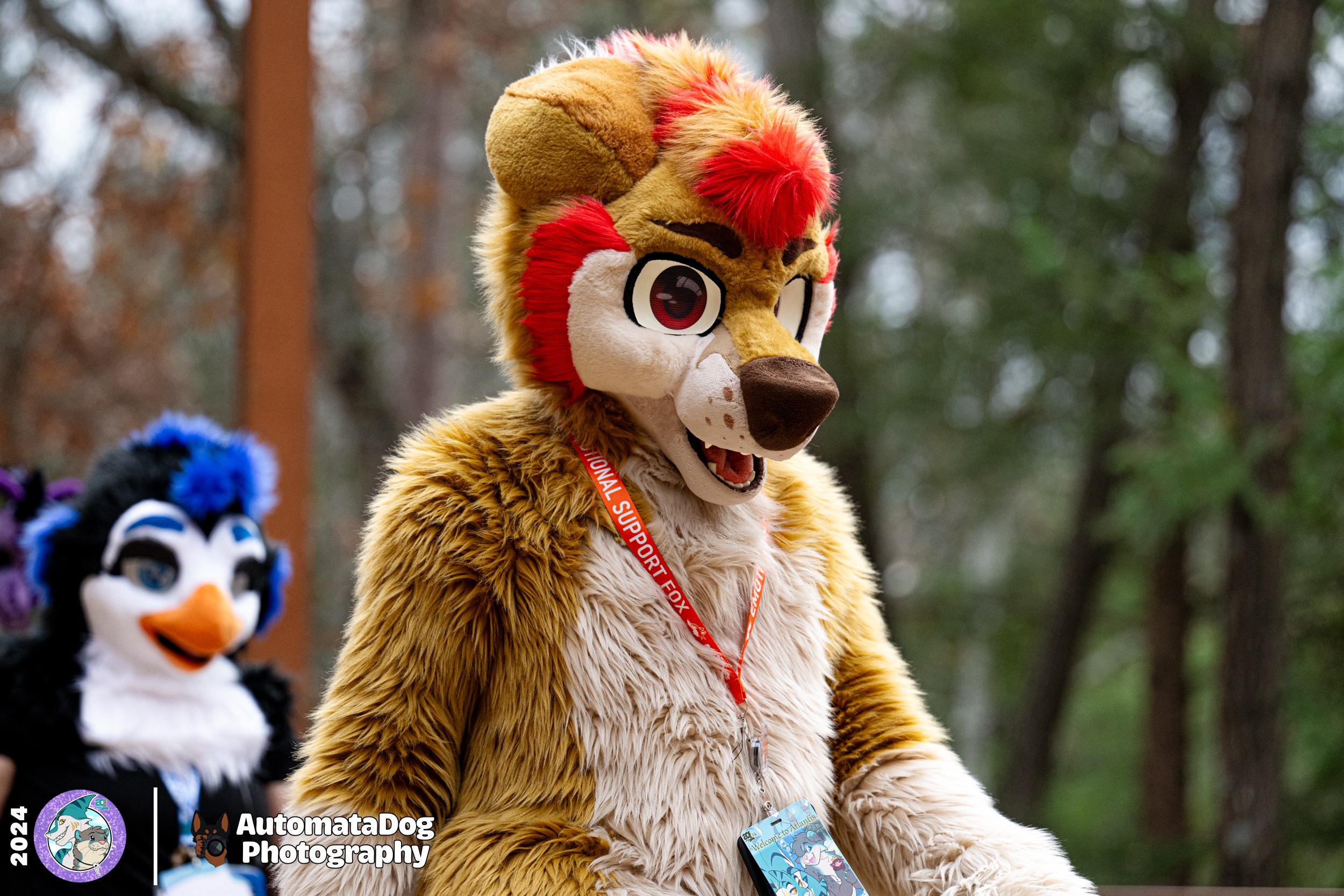Daily dose of furry photography - Day 461!
