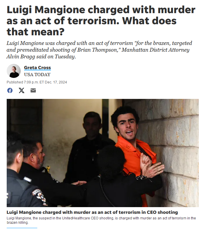 Accusing Luigi of Terrorism Over One CEO's Demise