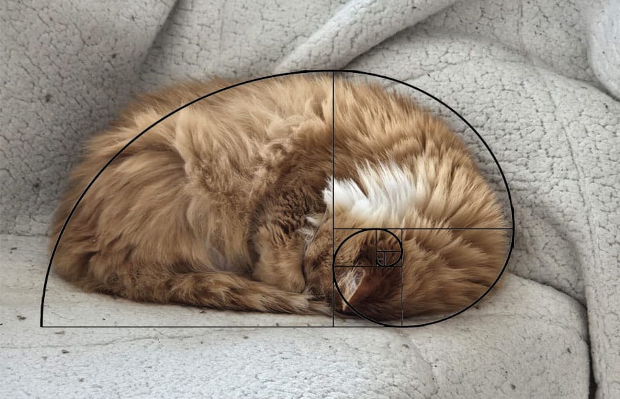 Betty: The Living Example of The Golden Ratio