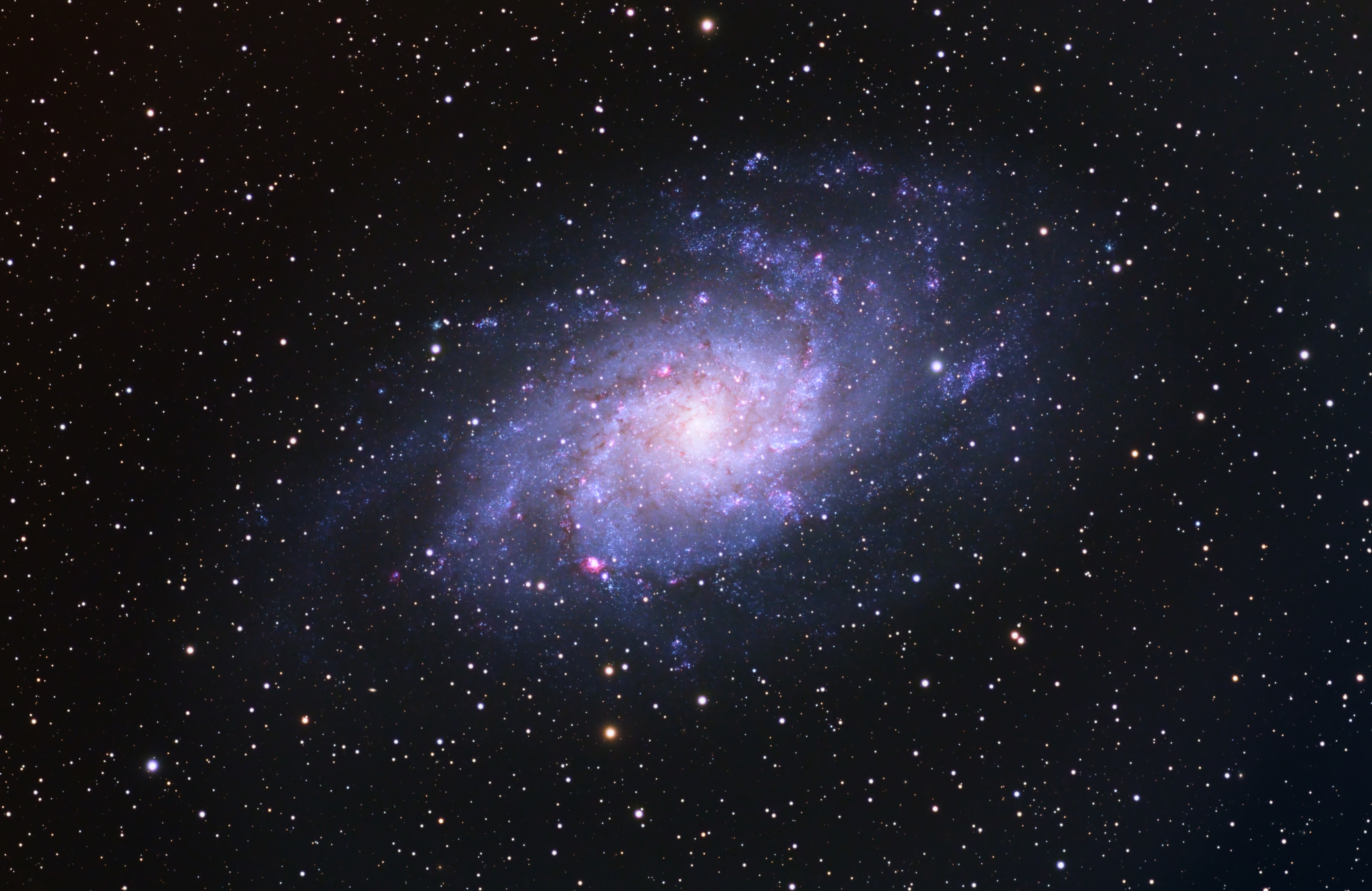 Exploring the Triangulum Galaxy