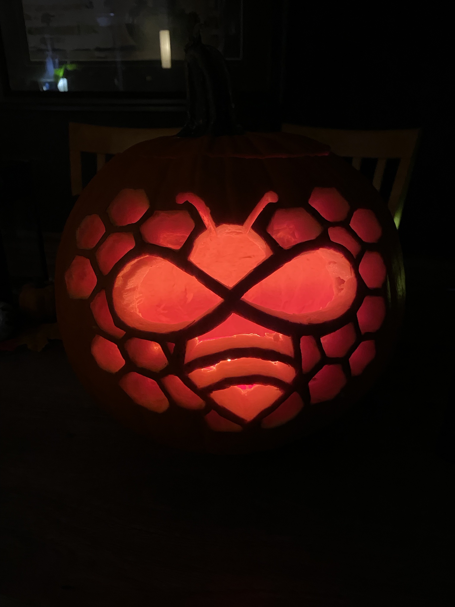 The Adorable Bumblebee and Its Honeycomb Pumpkin
