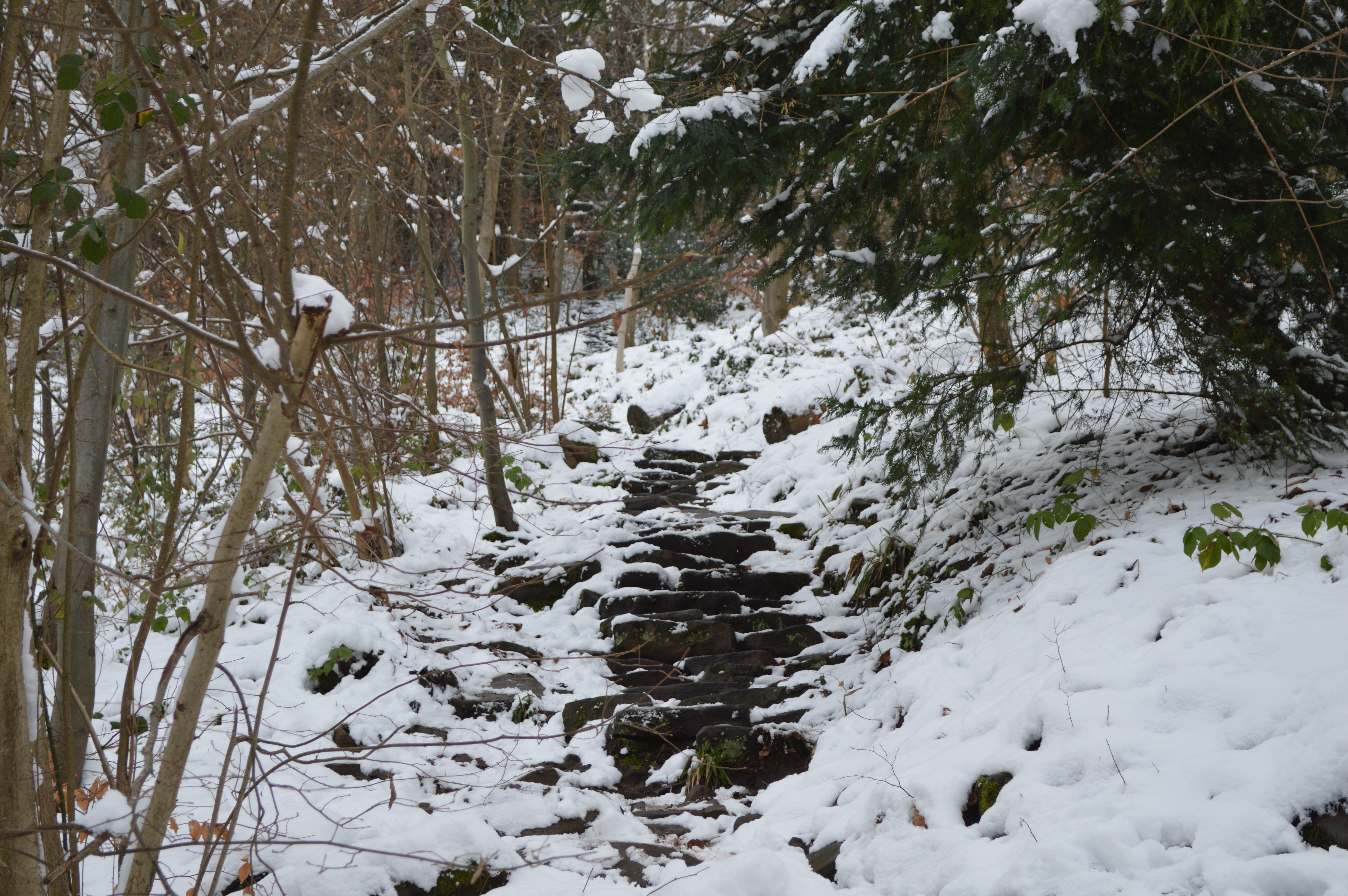 Rediscovering Forgotten Steps