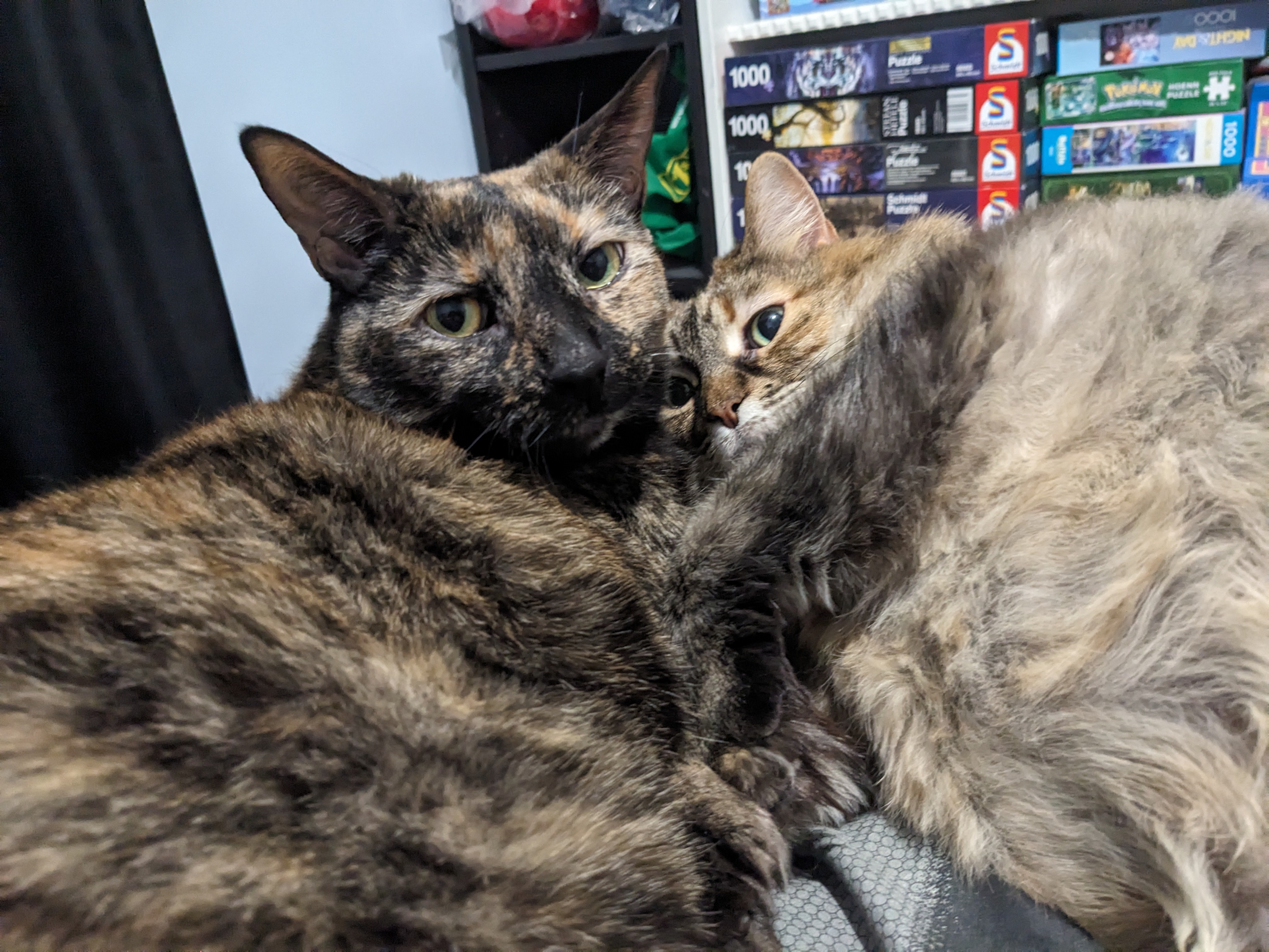 Time for Cozy Cuddles