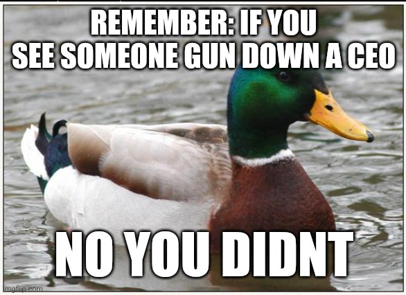 Wise words from a mallard