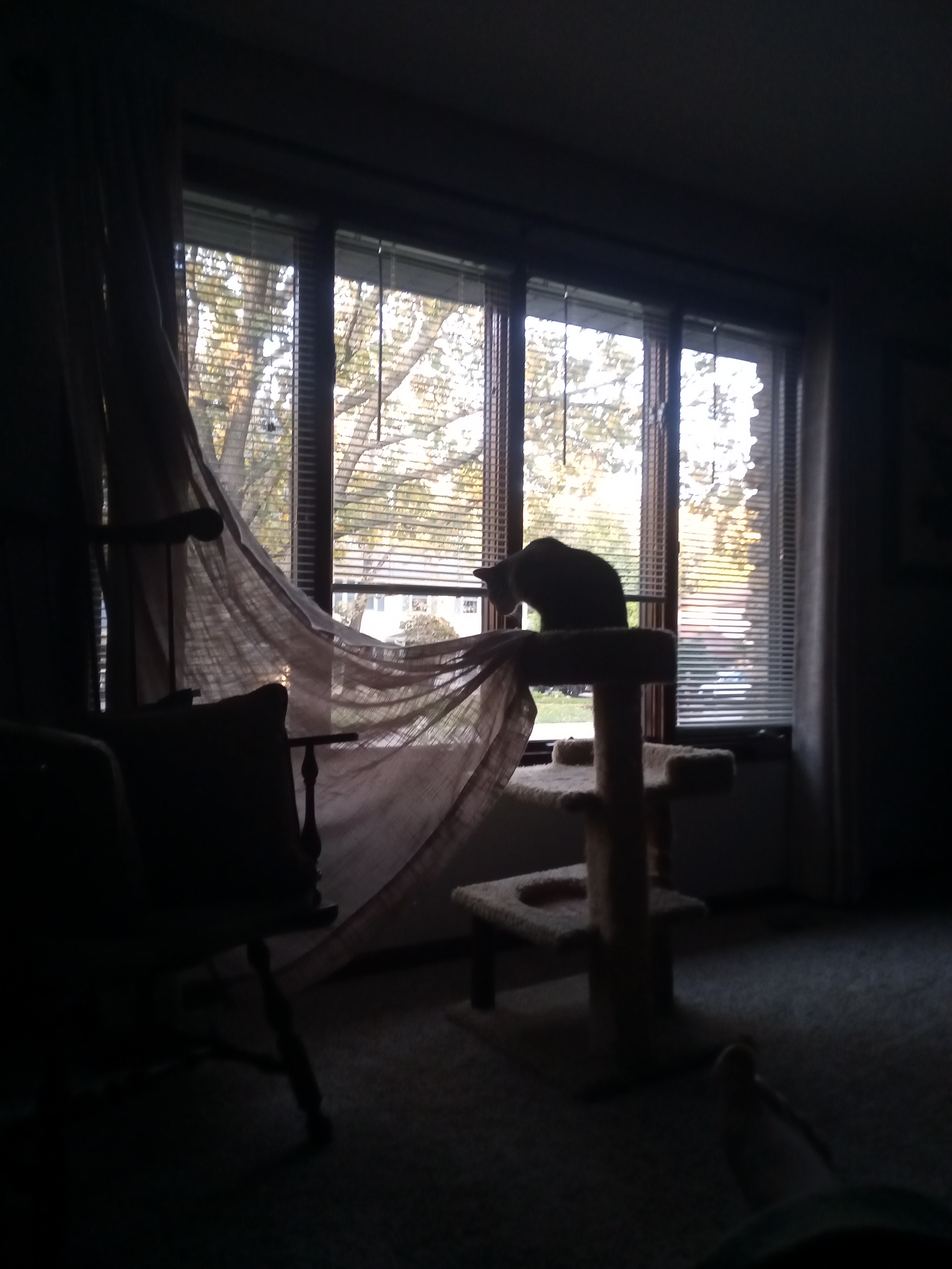 Time for a Redecorating Adventure!