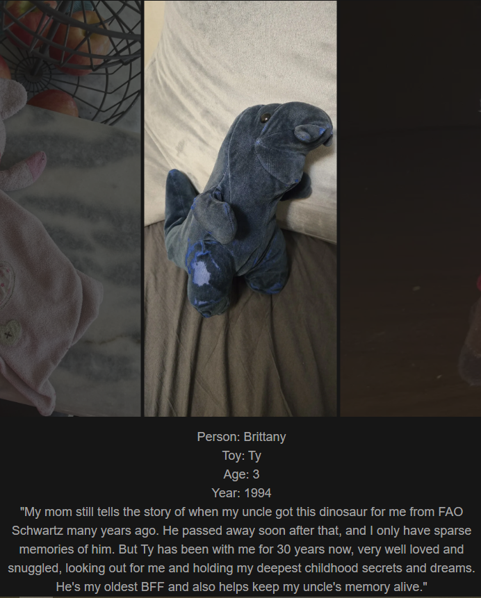 Day 809: Join Me on My Journey at www.saidtheskinhorse.com - Celebrating the Magic of Childhood Toys with Our Newest Addition, Ty!