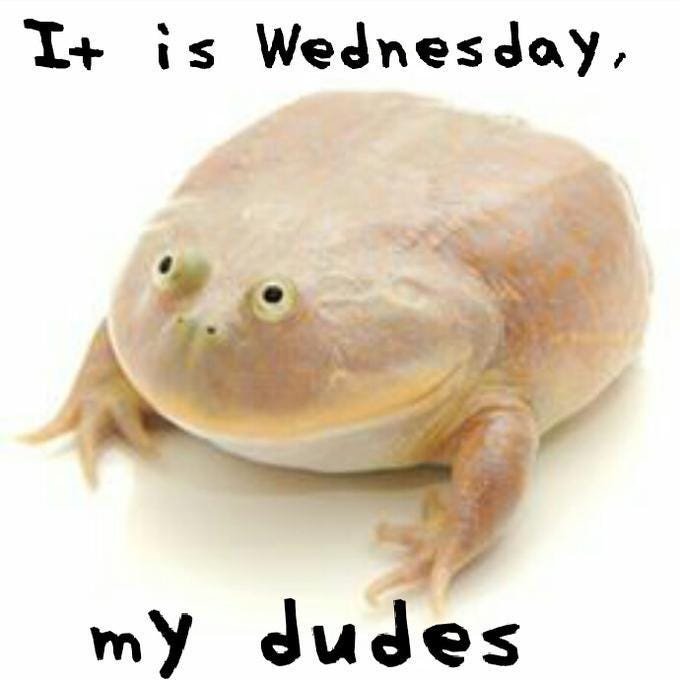 It's Wednesday, my dudes!