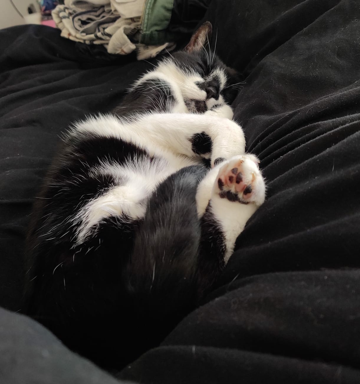 At 15, He's Still Just a Little One