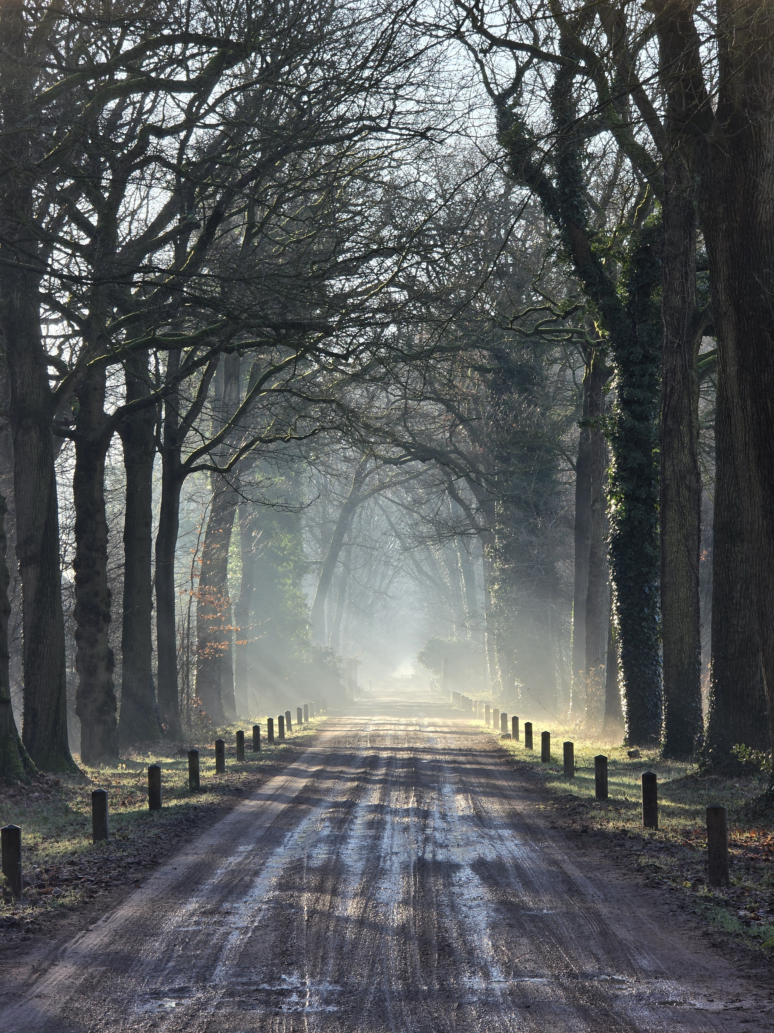 This Morning's Dog Walk Was Absolutely Breathtaking!