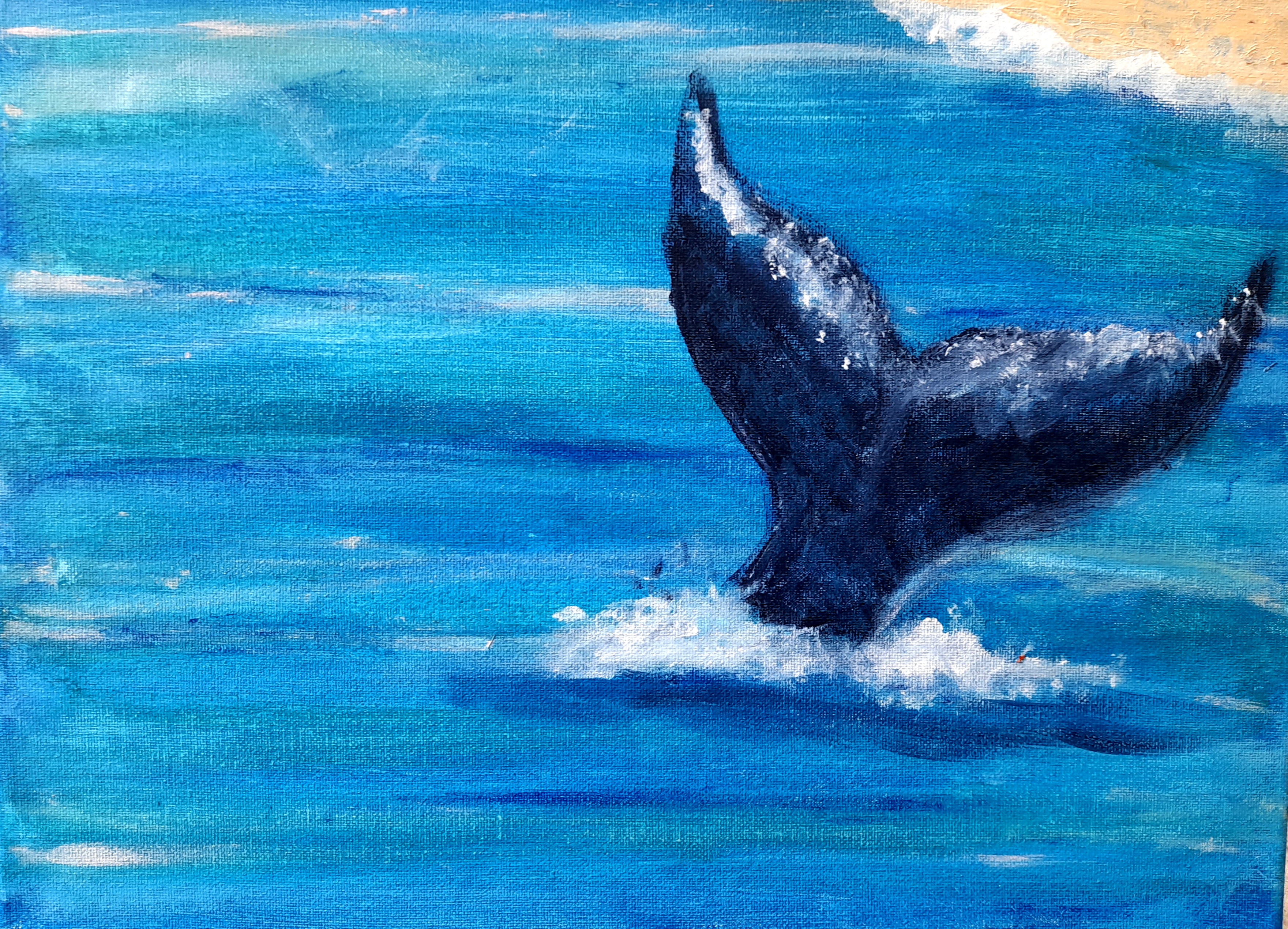 A Whale's Journey Through the Sea