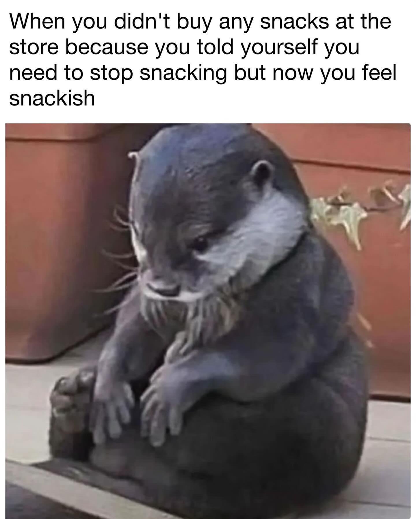 When You Swore Off Snacks but Now Craving Them Badly