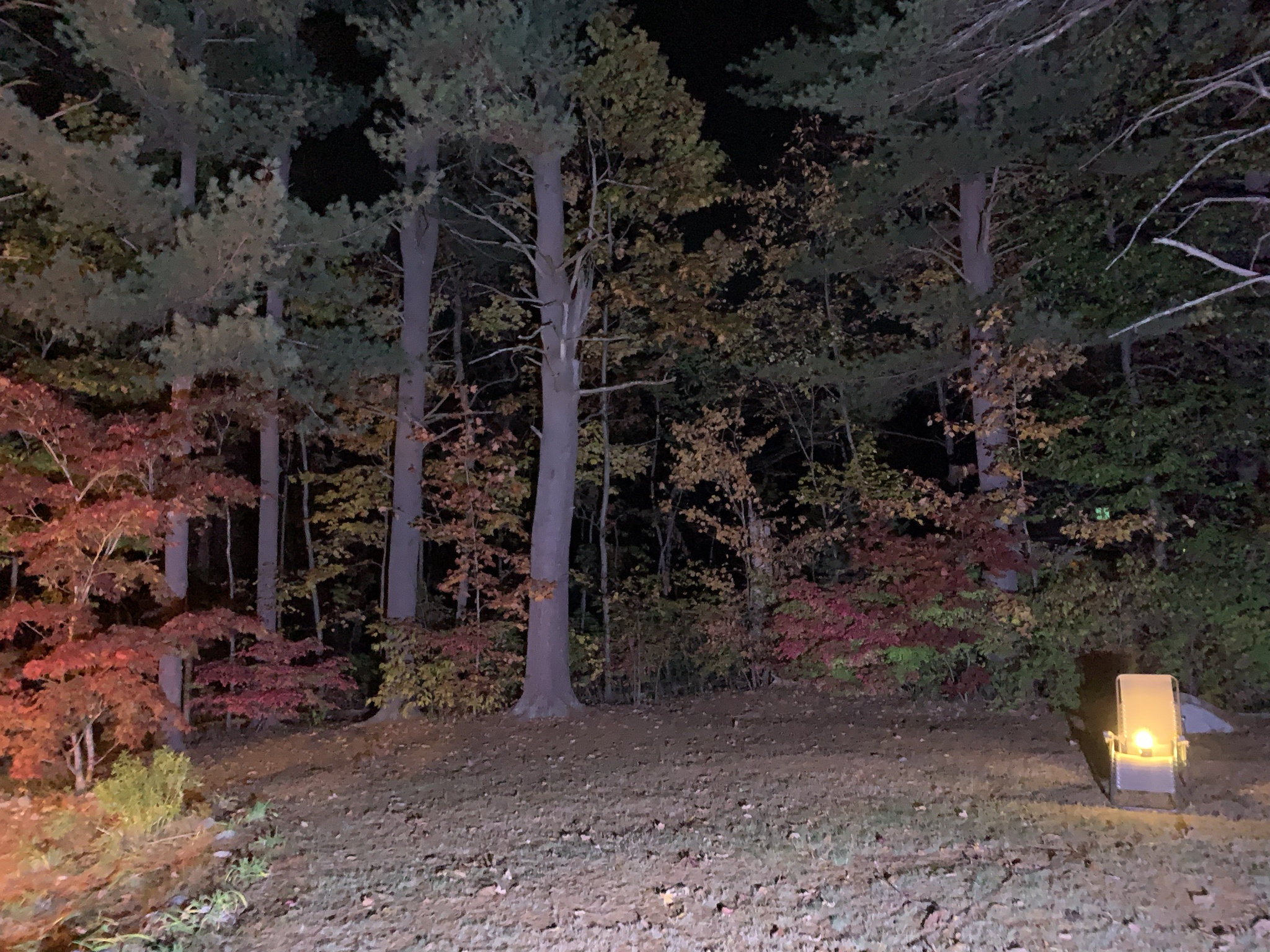 Just Installed a Floodlight in My Yard - It’s Like Daytime Out Here Despite the Dark Sky!