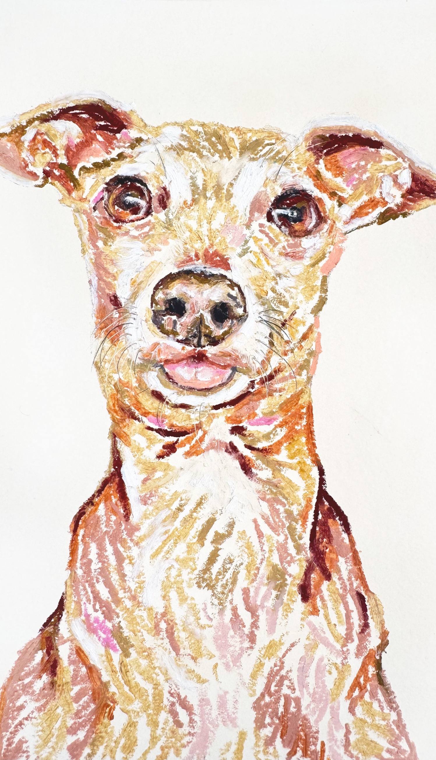 Adorable Pet Portrait I Had the Joy of Creating :)