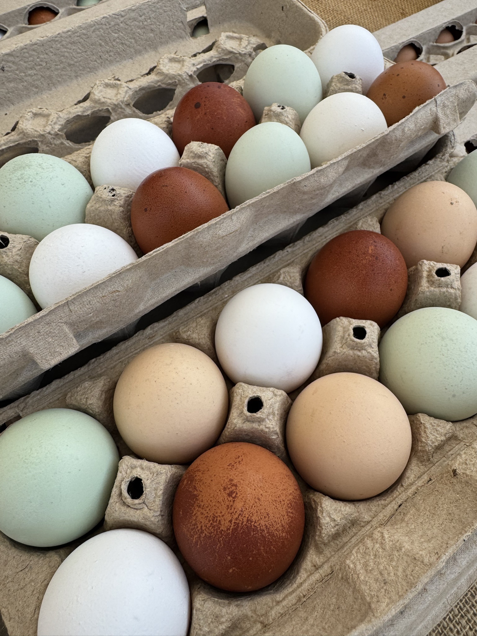 Fresh and beautiful local eggs straight from the farm.