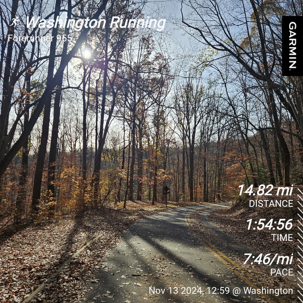 The Daily Grind: My Morning Run Adventures