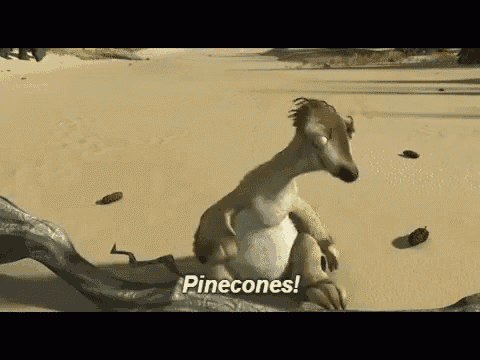 Pinecone Power: Nature's Ultimate Champion
