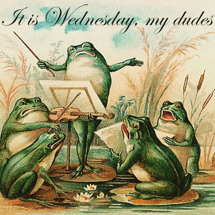 It's Wednesday, My Dudes: Time to Celebrate!