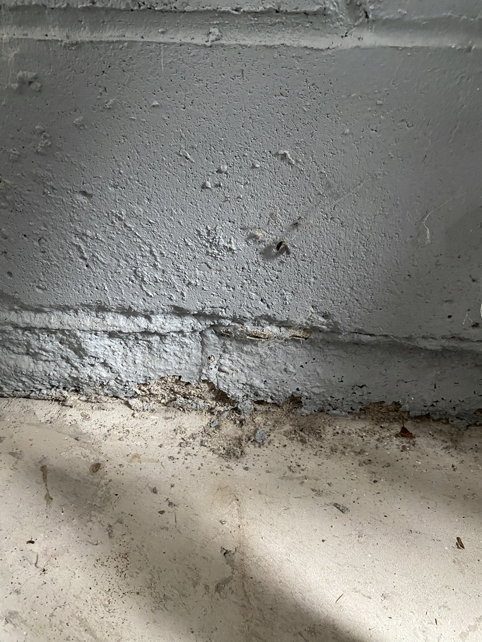 The Art of Spalling