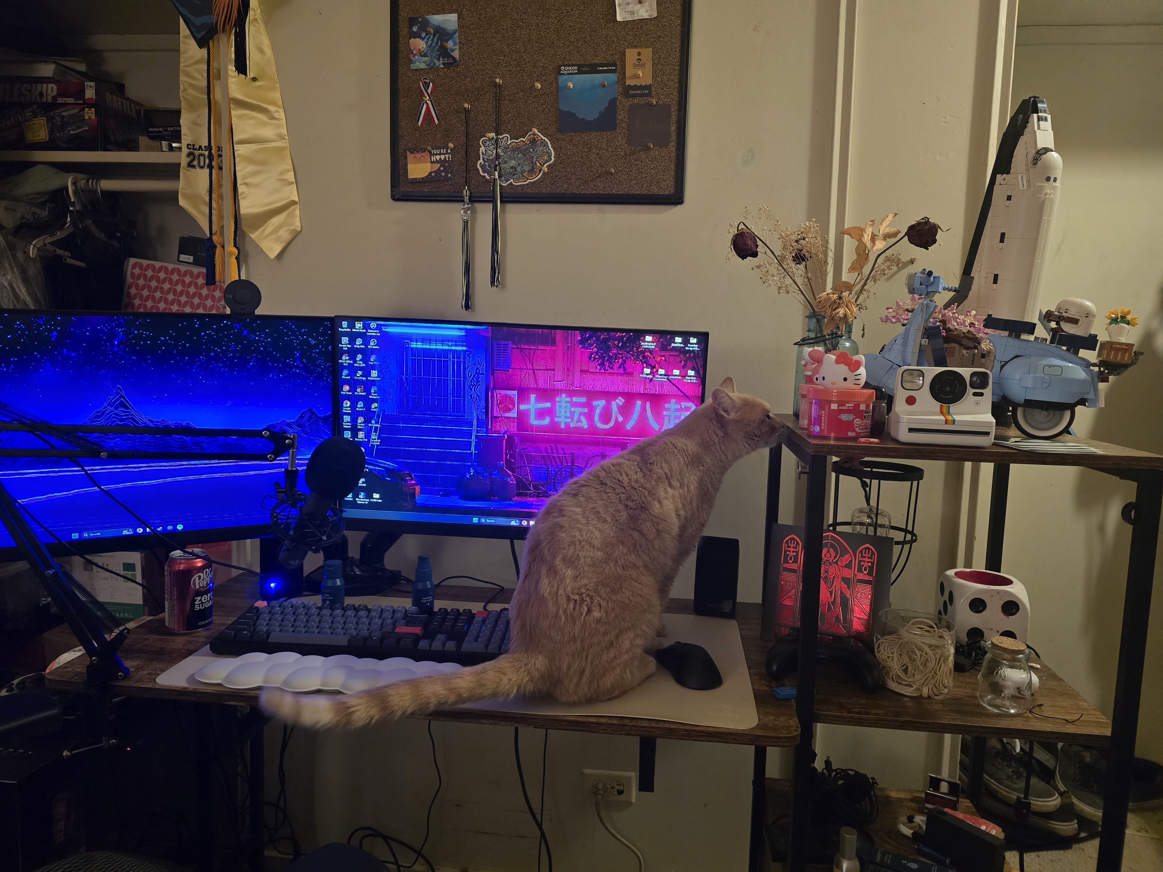 Inside the SDP Goon Cave: Episode 2